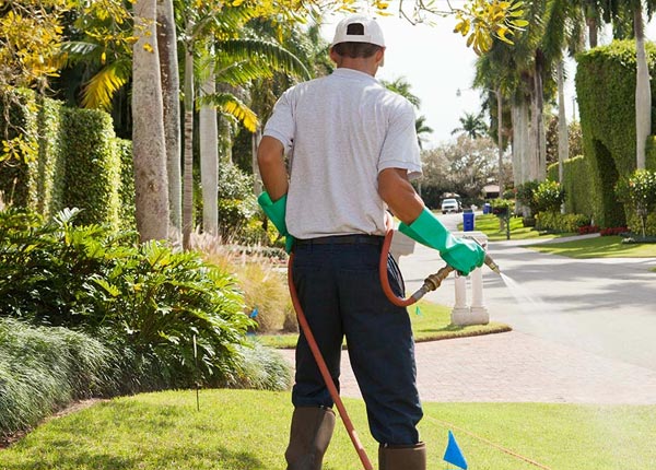 About Manchester GA Pest Control Pros